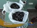 videos de Capturan a dos hermanos con 181 supercÃ¡psulas de clorhidrato de cocaÃ­na en Tingo MarÃ­a