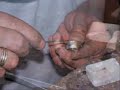 Anillo Atlante Petropolis Mexico Anillo Atlante Petropolis Mexico