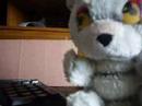 Koala Man - Night clubber