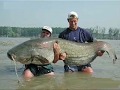 Everything Is Big With A Large