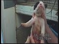 Tennessee Puppy Mill Exposed