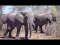 Sand & Safari Company - Experience Tanzania ...