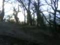 videos de alex kean falls off his bike down bluebell woods