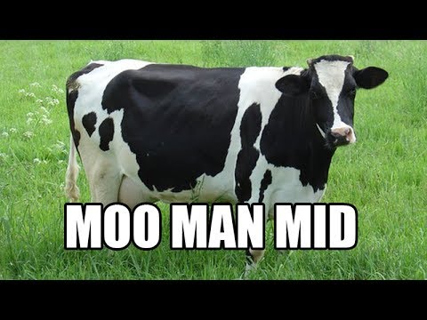 MOO MAN MID