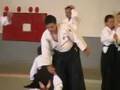 Aikido - Saint Mandrier (Francia) 2008