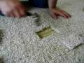 Carpet Repair -AAAction Restoration Services, Inc. Vancouver , WA