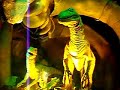 Time Space Warp...Dino age