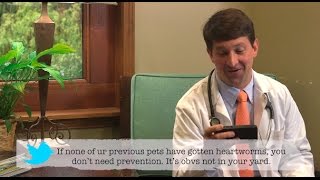 Do you give bad pet advice? Veterinarians react to ridiculous tweets.