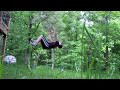 Standing Backflip Landed =D