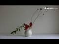 YouTube video YouTube Video thumbnail