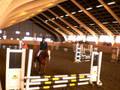 videos de Horse jumping