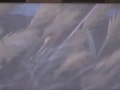 Rurouni kenshin music video.mp4