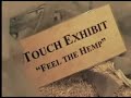 The Hash, Marihuana & Hemp Museum