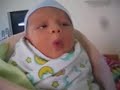 NICOLAS ROLDAN GARZA
