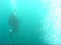 Going Down on Diving Scuba Going Down on Diving Scuba
