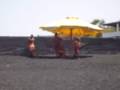 videos de pachiderma