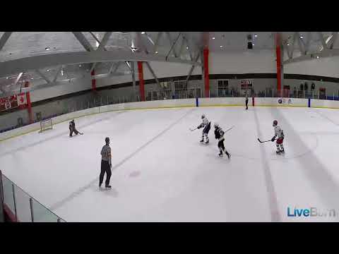 HSH delayed penalty-patience-sauce pass-4/24