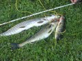 My Northern Ontario Fishing Trip My Northern Ontario Fishing Trip