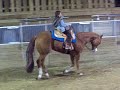 adriana loping Linus
