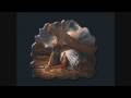videos de Ricardo Kwiek* 03