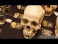 Hellmouth Vlog 05.25.13 [Day 927] - Crypticon Seattle 2013 and Interviews!!!