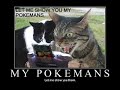 very funny cats for more click on link in blue on right very funny cats for more click on link in blue on right