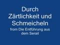 Dessay: Durch Zärtlichkeit und Schmeicheln (1993)