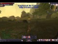 スペルボーン spellborn login test part3