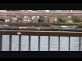 [Tokyo]Tokyo Sky Tree seen from a bank of the Sumida River. thumbnail No.1