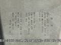 Korea Sparkling(National Mang-Hyang Cemetry)