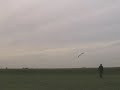 VF8 Kites