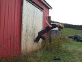 cleyo69er (wall flip gone wrong)