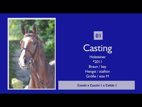 CASTING HOLGER HETZEL SPORT HORSE SALES 2017