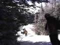 poach.flv