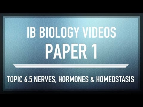 how to pass ib physics sl exam