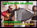 concertino romantico pizzica polka con fisarmonica