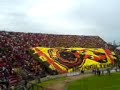 TORCIDA JOVEM DO SPORT