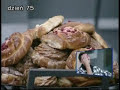 Zadanie tygodniowe leży