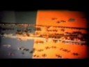 1971 Portugal Monte Gordo part 1 1971 Portugal Monte Gordo part 1