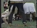 2001, Flamengo 3x1 Vasco, Petkovic