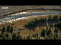 Beaver facts -  BBC Animals