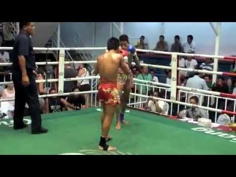 levidspot - tiger muay thai.