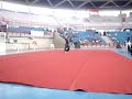 Moy Fah Kung Fu Wushu