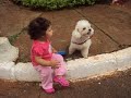 bibi passeando com o cachorro