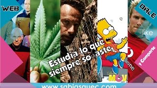 Las 5 carreras universitarias mas increibles y extrañas del mundo / SBQ WEB