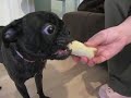 Zoe Eating A Banana