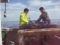 Lobster Fishing