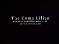 The Coma Lilies - 4 (Aphex Twin cover)