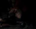 Salses