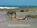 La Playa